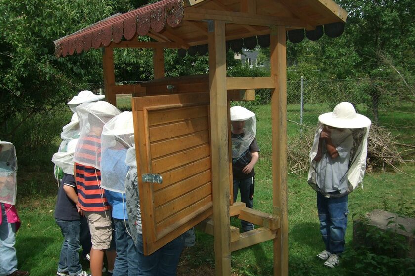 Rund um die Honigbiene - Projekt am Schaukasten
