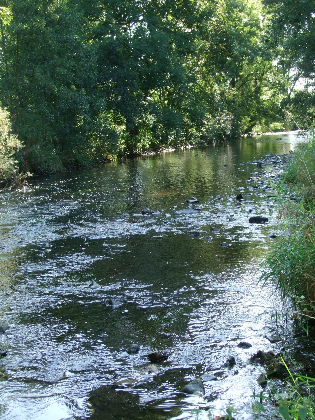 Fließgewässer