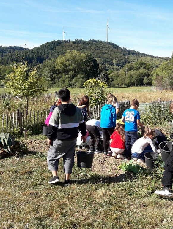 Schulklasse bei der Kartoffelernte